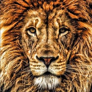 Meet your Posher, Rudy